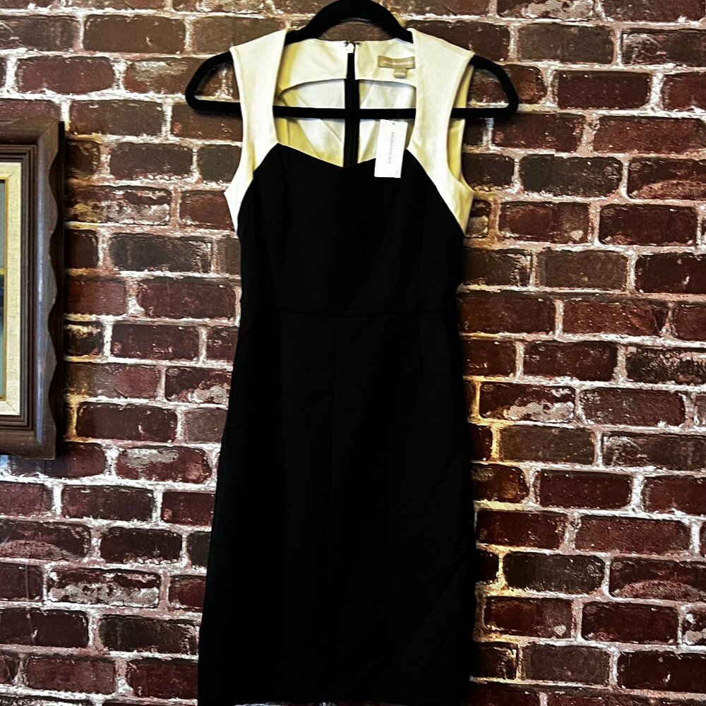 Banana Republic Colorblock Sheath Dress